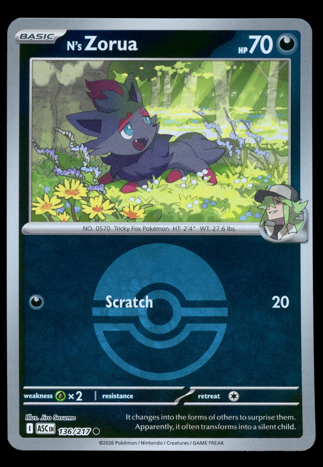 Ascended Heroes N's Zorua [Ball] Pokémon card